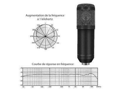 Microphone à condensateur USB professionnel MC-210.usb - Deluxe (Reconditionné) – Image 2