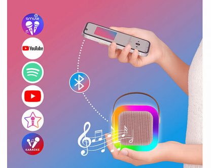 Enceinte karaoké avec 2 micros sans fil fonctions bluetooth / USB / MicroSD – Image 3